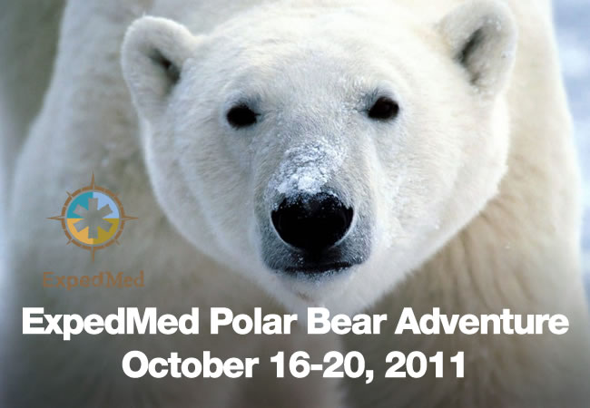 expedmed polar bear adventure.jpg